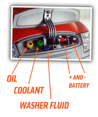 Illustration for article titled The Fascinating Super Cheap Fiat That Never Happened